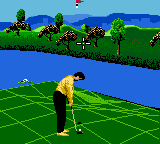 Ernie Els Golf Screenthot 2